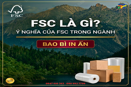 Chứng Chỉ FSC Là Gì? Ý Nghĩa & Ứng Dụng Trong In Ấn Bao Bì